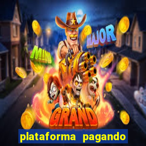 plataforma pagando bem hoje